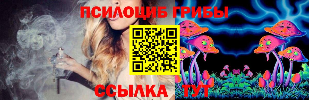 Карасук  Галлюциногенные грибы MAGIC MUSHROOMS  Вход с VPN 