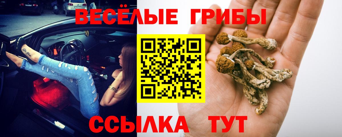 Псилоцибиновые грибы GOLDEN TEACHER Карасук
