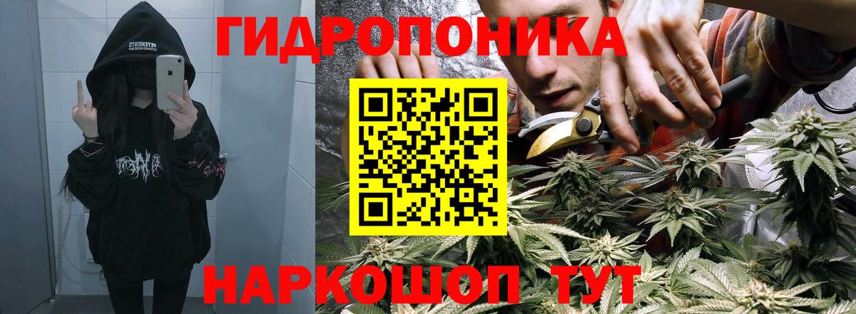 Карасук  Бошки Шишки MAZAR  Вход с VPN  Каннабис White Widow  Бошки Шишки семена 